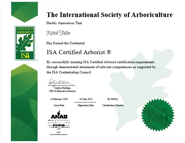 ISA certified arborist certificate